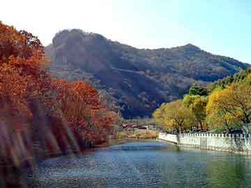 新澳天天开奖资料大全旅游团，生铁屑压块机